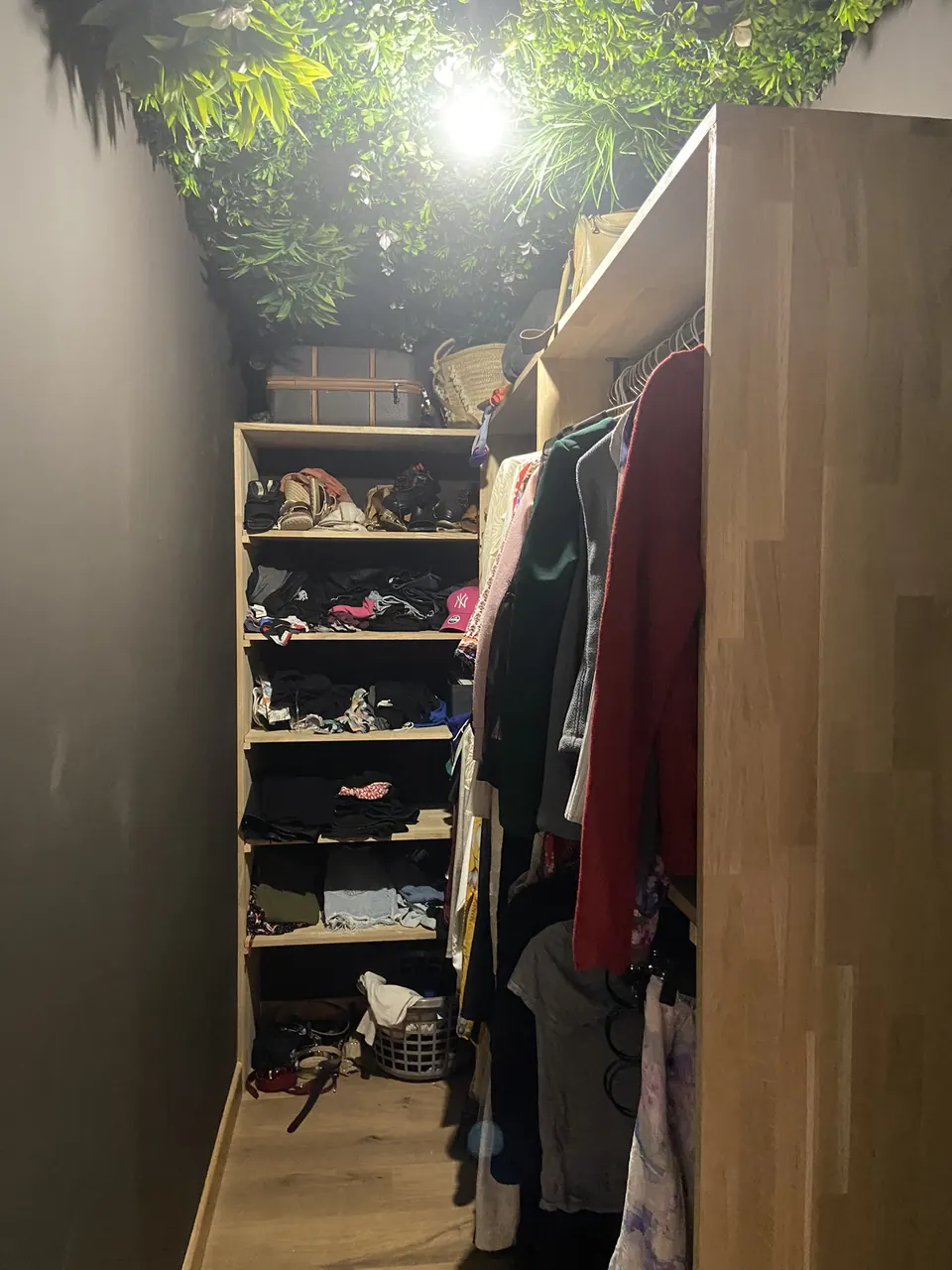 Mur et plafond végétal — vue 3 sur 3
